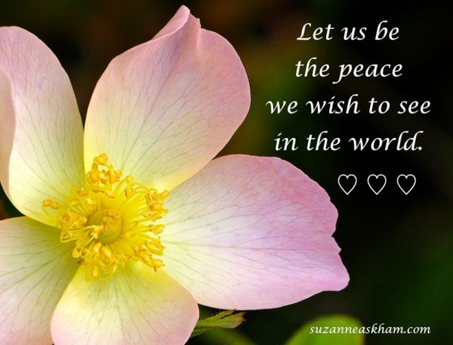 539716_518035154945928_1775726738_n