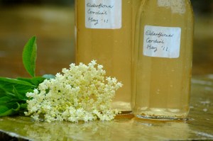 Elderflower cordial