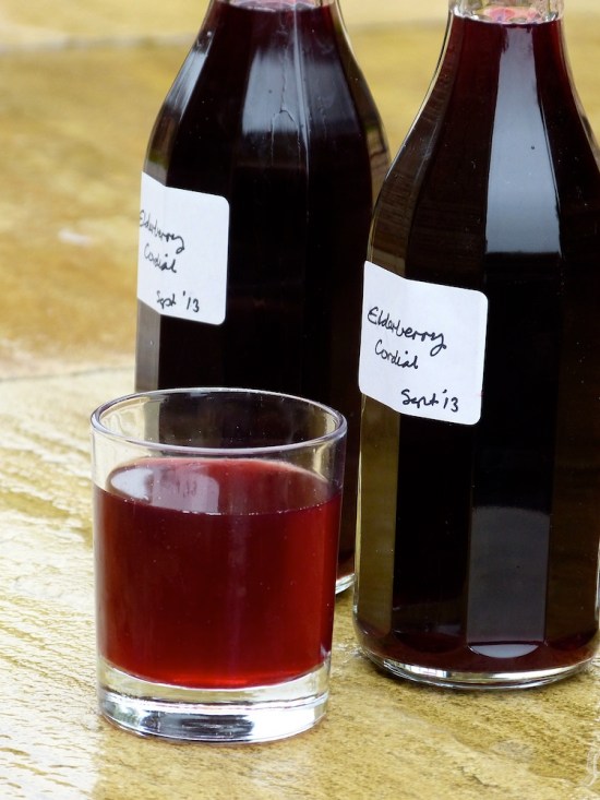 Elderberry cordial