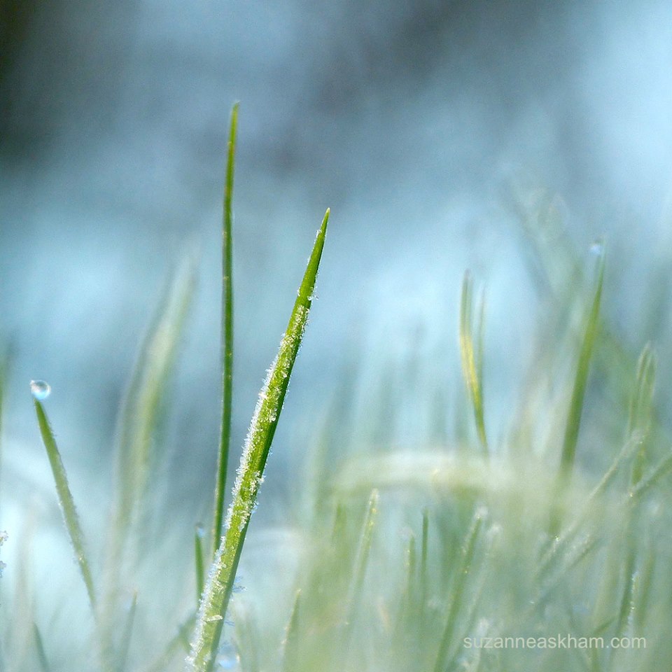 12565605_928807540535352_606648727925376026_n